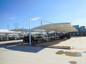 榴莲黄视频汽車棚
